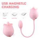 Вагинальный двойной вибратор 2 в 1 Twin Blossoms Pink