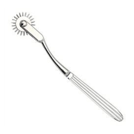 Колесо Вартенберга – колёсико с иголками Wartenberg Wheel