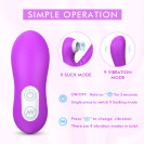 Вакуумно-волновой стимулятор Grey Purple RCT