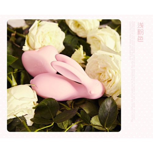 Вибратор-кролик Passion Rabbit Love RCT