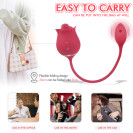 Вагинальный двойной вибратор 2 в 1 Twin Blossoms Red